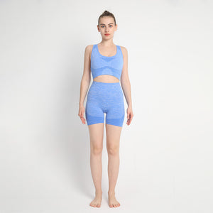 Seamless Point Sports Suit Yoga Clothes Knitted Hip-lift And Belly Shaping Shorts I-shaped Vest